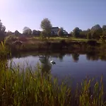 Hazelwood 4* Adare