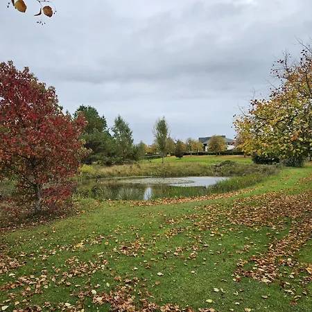 Hazelwood 4* Adare