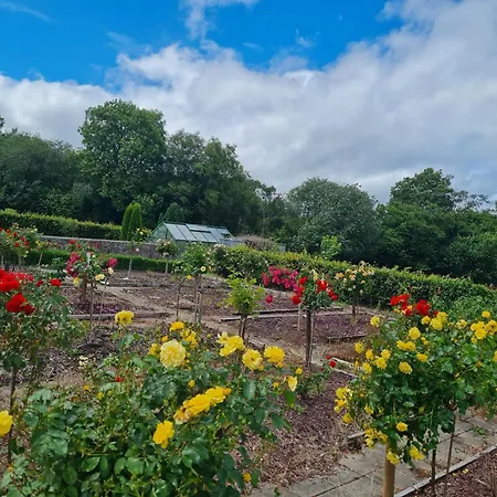 Frühstückspension Hazelwood Adare