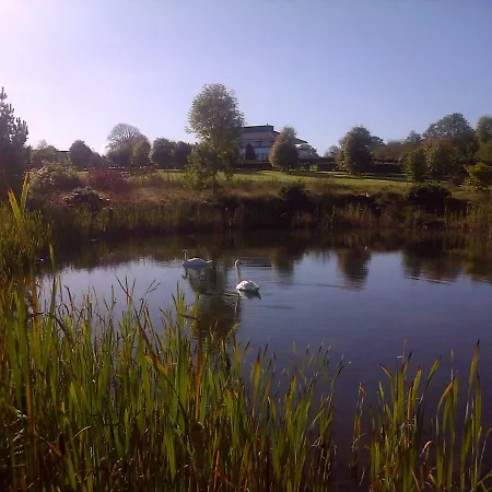 Hazelwood * Adare