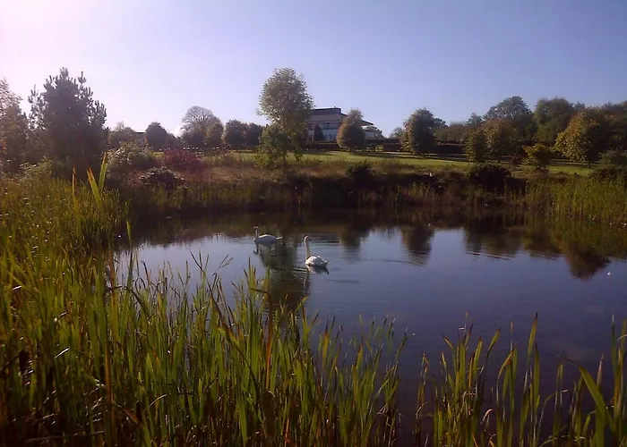 Hazelwood 4* Адэр